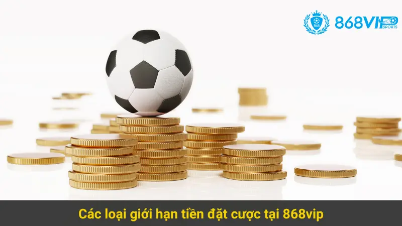 Tìm Hiểu Những Quy Định Về Giới Hạn Tiền Đặt Cược 868vip 3 Các loại giới hạn tiền đặt cược tại 868vip