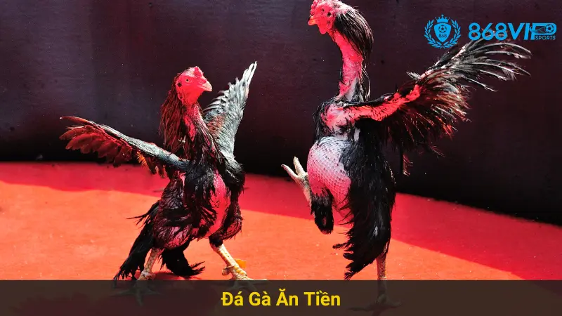 Chinh Phục Đá Gà Ăn Tiền 868vip Dễ Dàng Cho Bet Thủ Online 6 Chinh Phục Đá Gà Ăn Tiền 868vip Dễ Dàng Cho Bet Thủ Online