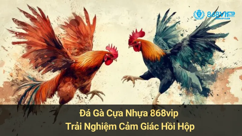 Đá Gà Cựa Nhựa 868vip: Trải Nghiệm Cảm Giác Hồi Hộp 2 Đá Gà Cựa Nhựa 868vip: Trải Nghiệm Cảm Giác Hồi Hộp