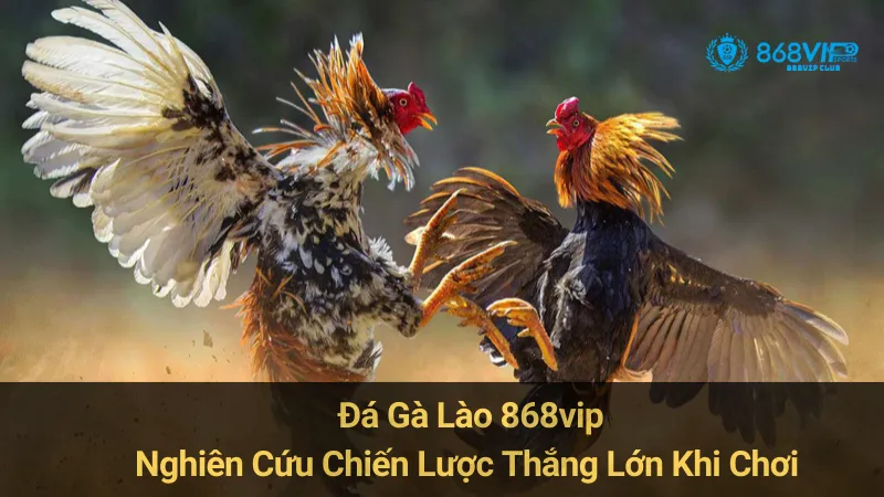 Đá Gà Lào 868vip: Nghiên Cứu Chiến Lược Thắng Lớn Khi Chơi  9 Đá Gà Lào 868vip: Nghiên Cứu Chiến Lược Thắng Lớn Khi Chơi
