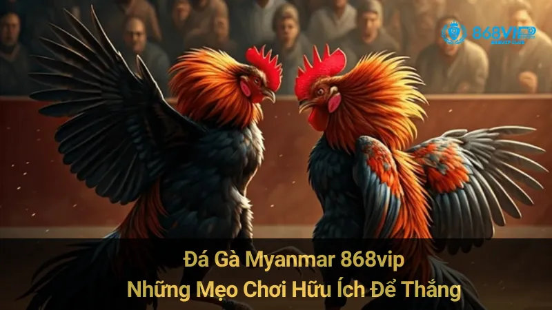 Đá Gà Myanmar 868vip: Những Mẹo Chơi Hữu Ích Để Thắng 6 Đá Gà Myanmar 868vip: Những Mẹo Chơi Hữu Ích Để Thắng