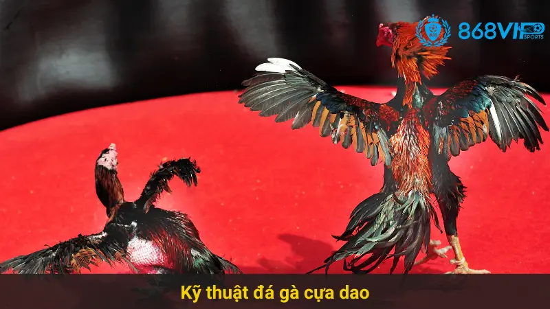 Chiến Thuật Thắng Lớn Trong Đá Gà Cựa Dao 868vip Online 3 Kỹ thuật đá gà cựa dao