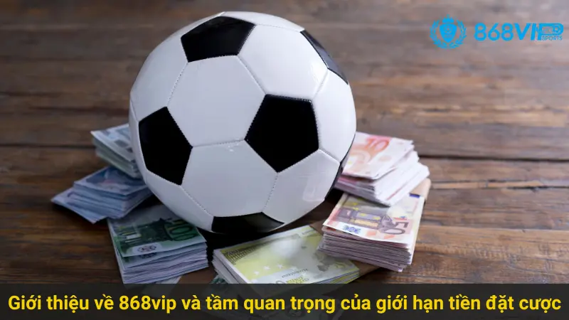 Tìm Hiểu Những Quy Định Về Giới Hạn Tiền Đặt Cược 868vip 2 Giới thiệu về 868vip và tầm quan trọng của giới hạn tiền đặt cược