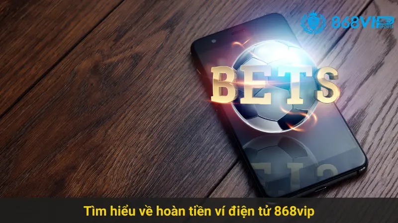 Hướng Dẫn Sử Dụng Hoàn Tiền Ví Điện Tử 868vip Hiệu Quả 2 Tìm hiểu về hoàn tiền ví điện tử 868vip